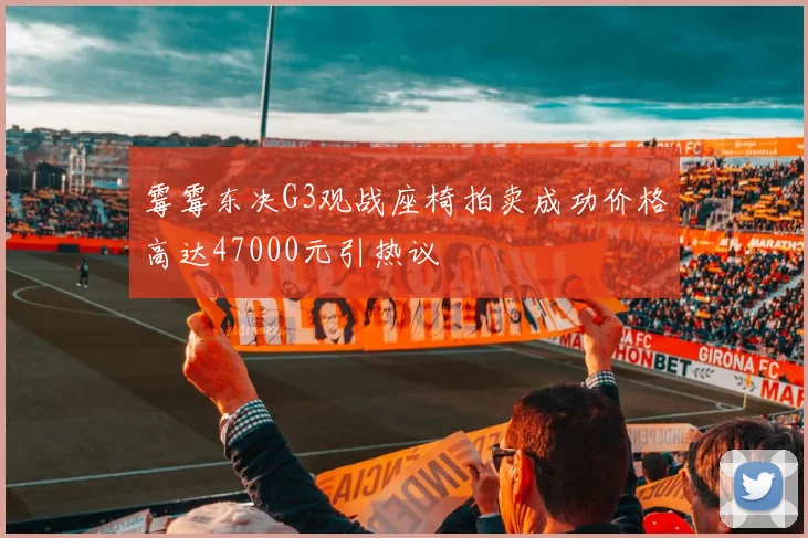 霉霉东决G3观战座椅拍卖成功价格高达47000元引热议